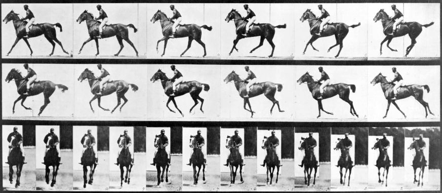 Horse In Motion Eadweard Muybridge